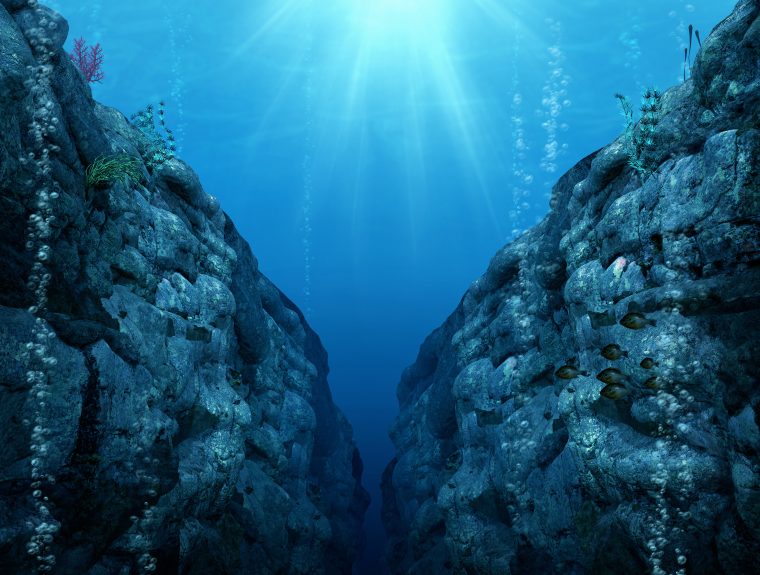 underwater vegetation and rock