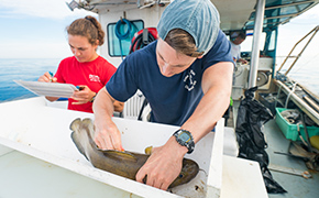 Scientists work to tag fish on a boat
