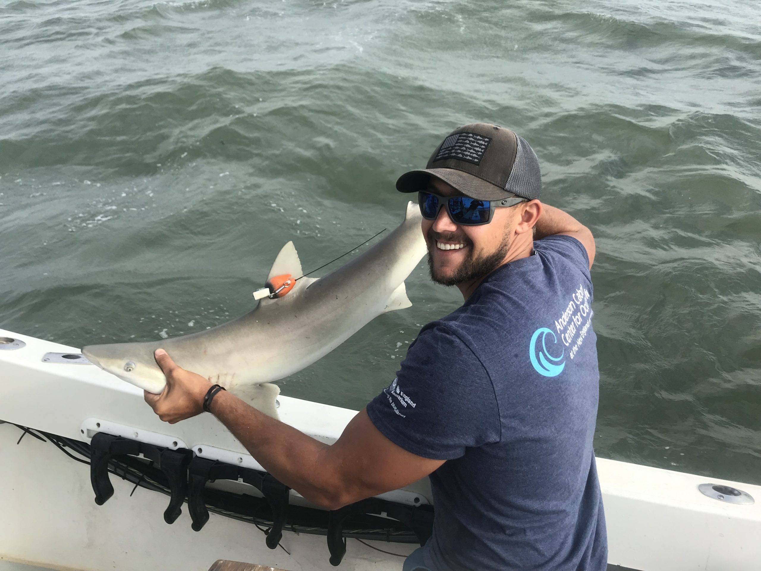 man holding a blacknose shark on a boat