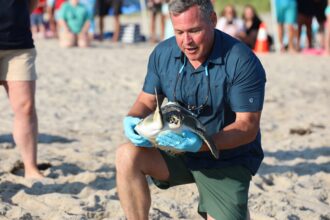 Jeff Corwin Visits with the Aquarium's Turtle Rescue Team