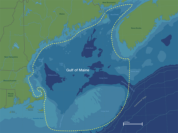 Map of Gulf of Maine, which extends from south of Massachusetts to the coast of Canada