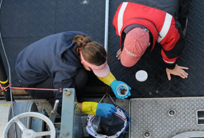 Researchers collect a fecal sample from a whale for a health assessment