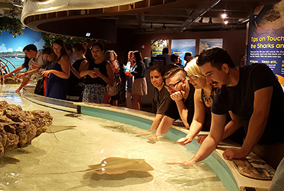 A group of visitors at the Shark and Ray Touch Tank