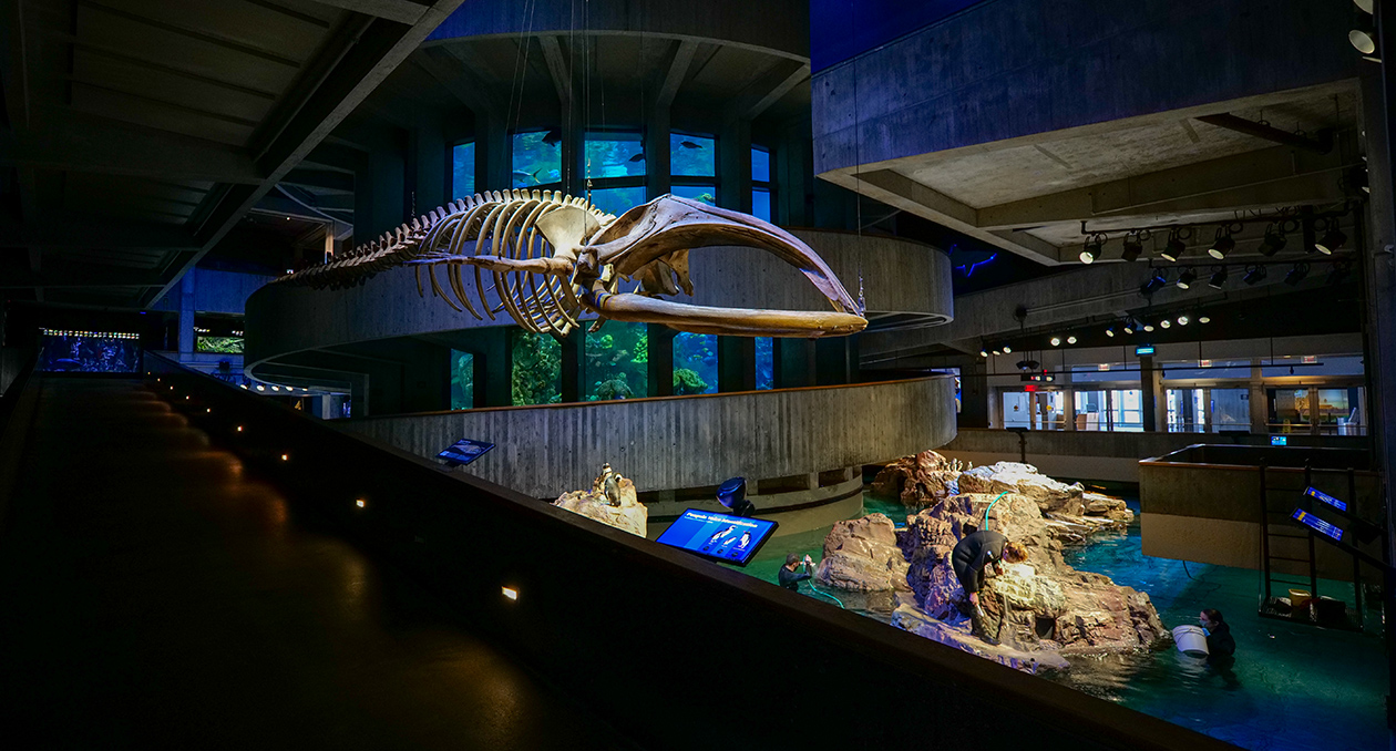 Interior photo of the New England Aquarium's main exhibit hall.
