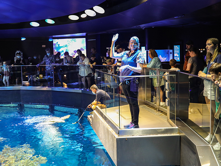 An educator gives a talk at the top of the Giant Ocean Tank