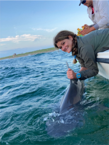 Caroline Collatos tagging sharks