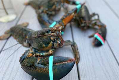 National Seafood Month: Lobster