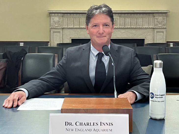 Dr. Charles Innis testifies before Congress in support of sea turtle rescue assistance.
