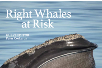 Whalewatcher Special Issue Features Aquarium Scientists