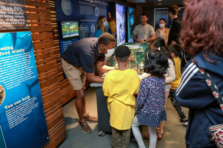 Aquarium staffer showing an exhibit to a group of children