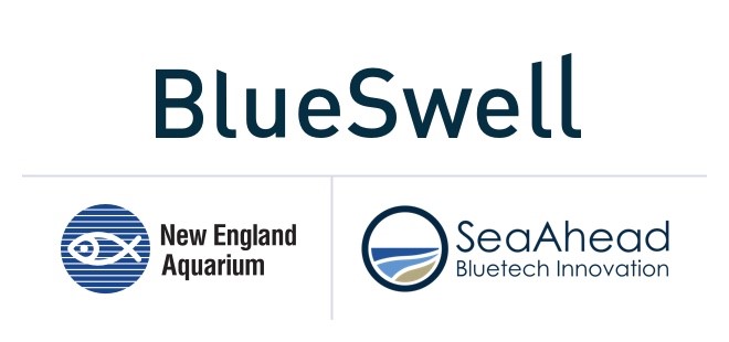 Blue Swell logo
