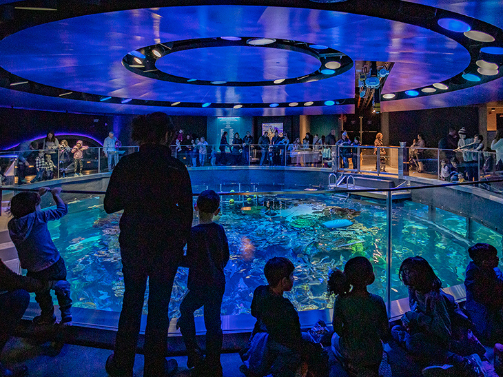 Visitors at the top of the Giant Ocean Tank