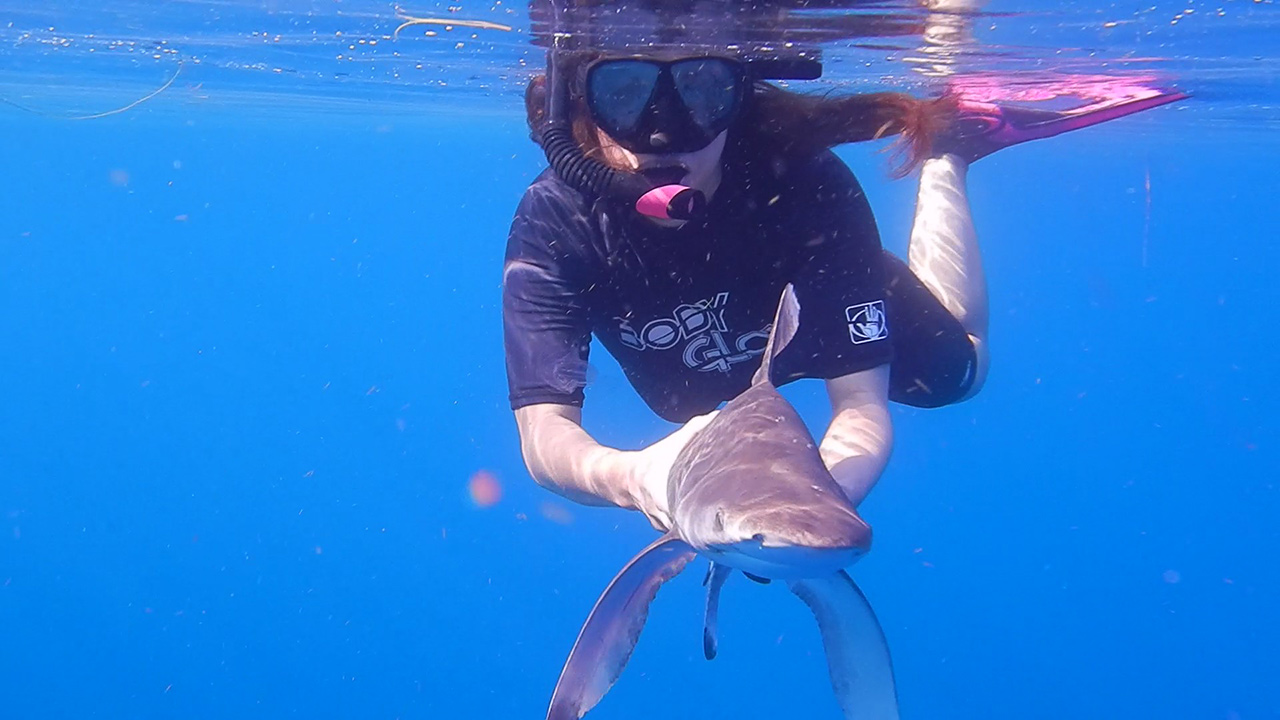 Snorkeler holding a small shark under water