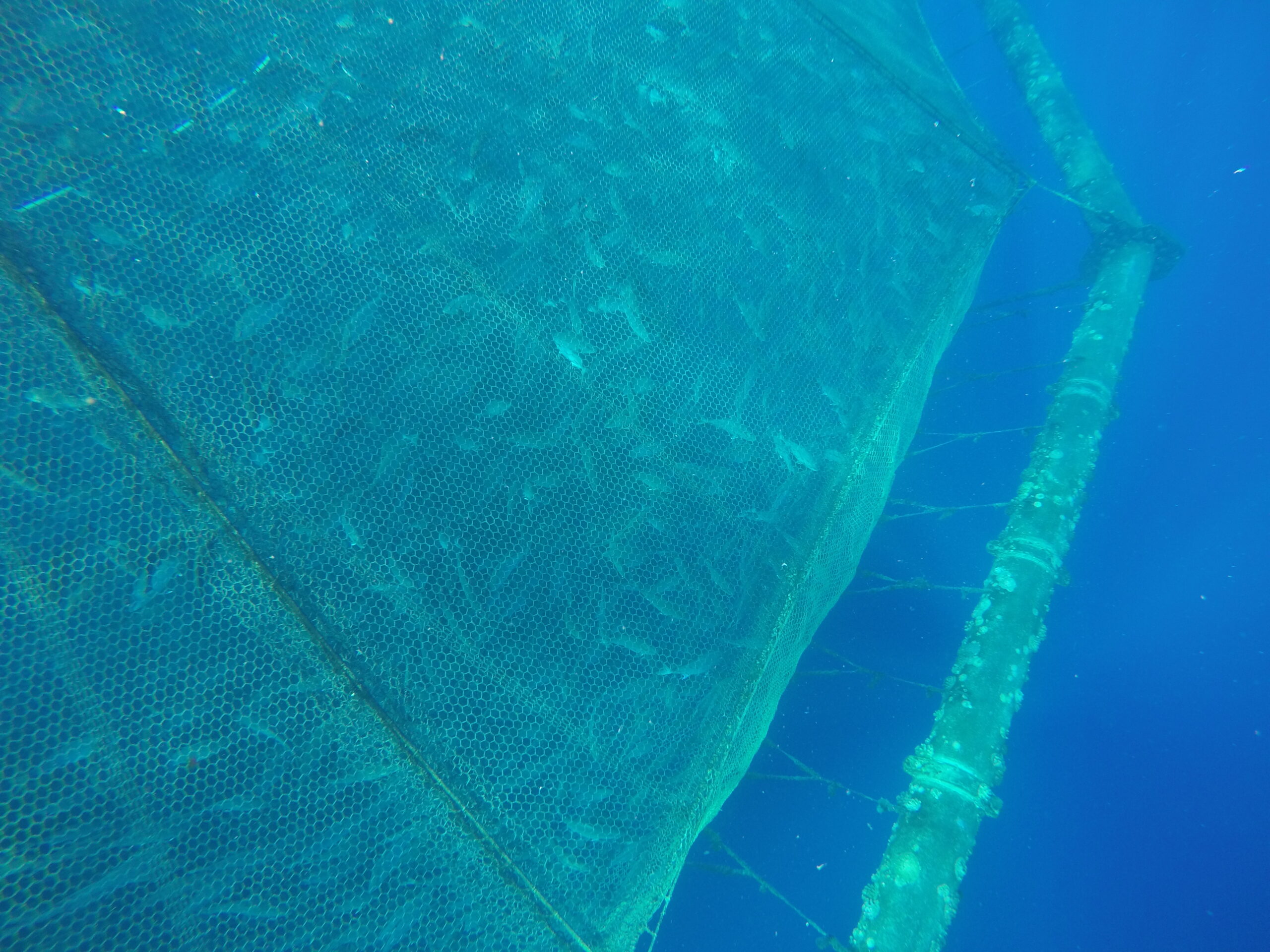 A photo of a large cage used for an aquaculture pen underwater