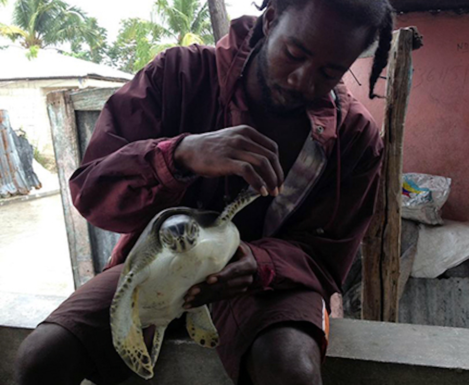 Man holding a sea turtle