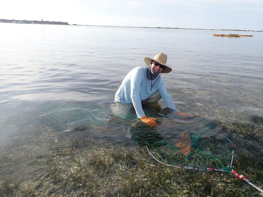 Man kneeling in shallow water with a large net