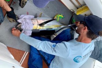 man measuring the length of a fish on a boat deck