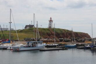 several boats docked near a lighthouse