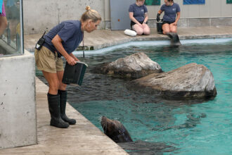 A trainer and sea lion at the Aquarium