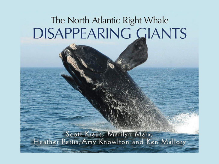 Book cover for The North Atlantic Right Whale: Disappearing Giants shows a whale breaching