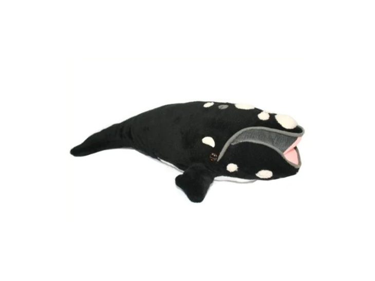 Hugably soft Right Whale plush was designed by Research Scientists