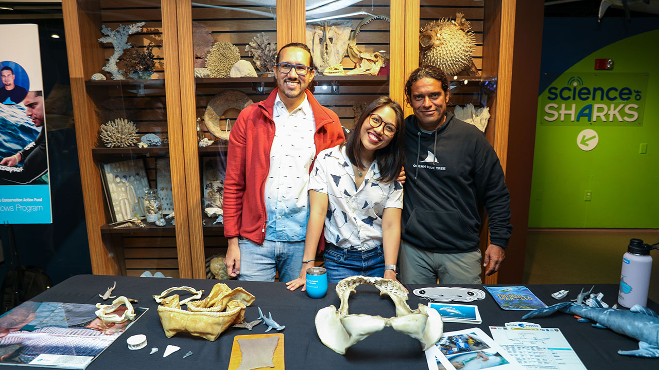 Three MCAF fellows sharing their shark conservation work at a table