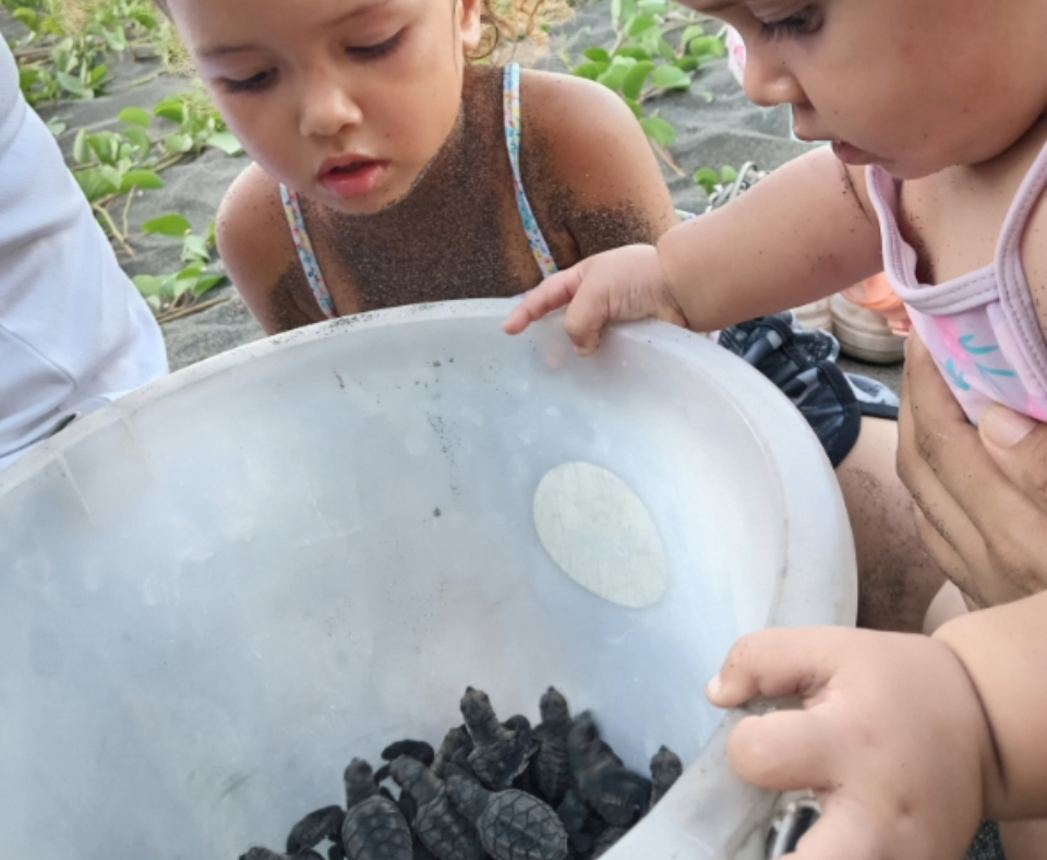 Samantha Rodríguez and Camila Rodríguez, observing turtles rescued during an exhumation and ready to be released on Gandoca beach