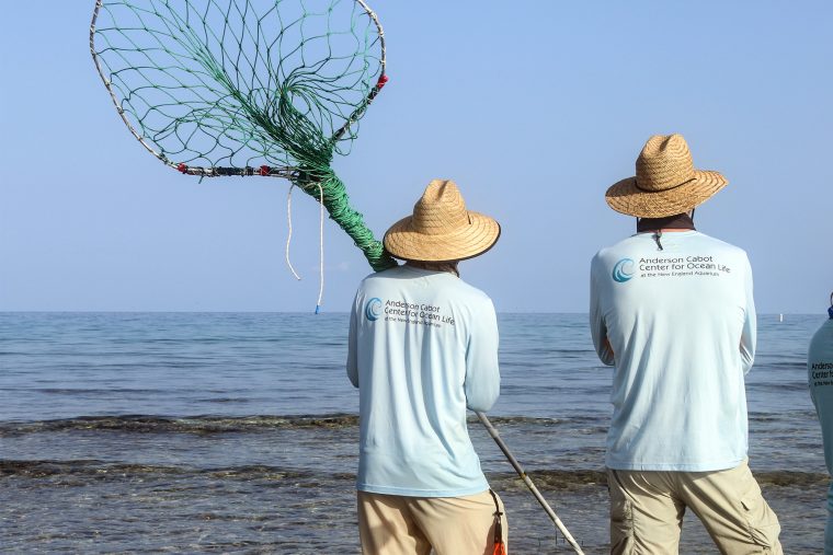 Team with nets and straw hats