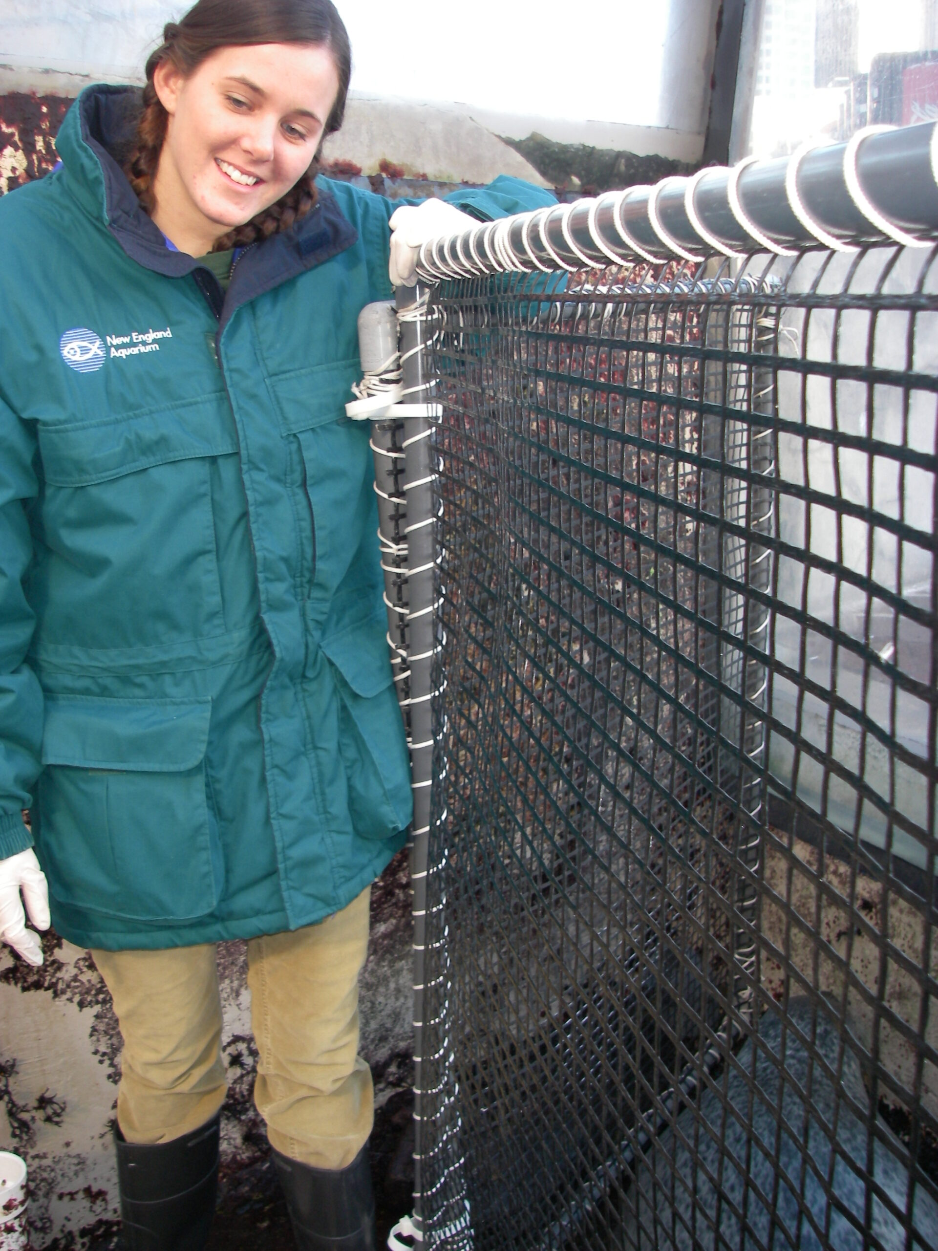 Dr. Melissa Joblon in 2007 as a New England Aquarium intern