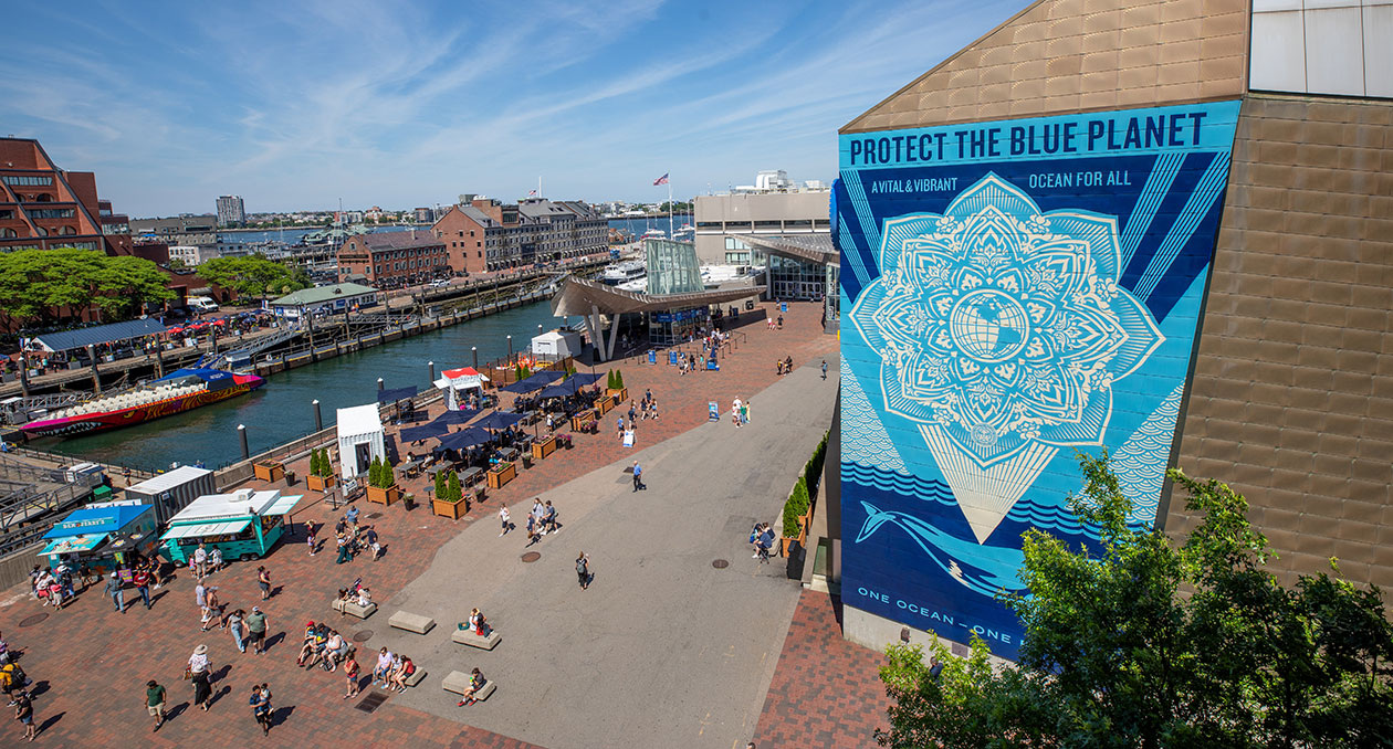 Aerial shot of Central Wharf plaza in front of the New England Aquarium