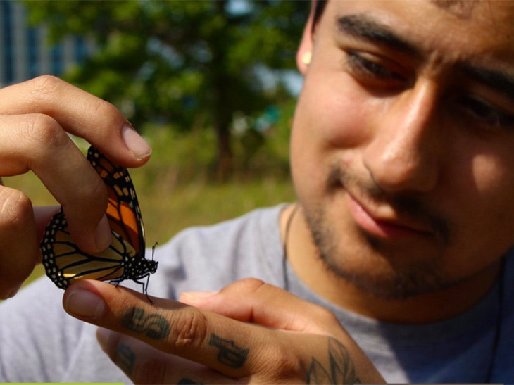 A latino man holds a monarch butterfly