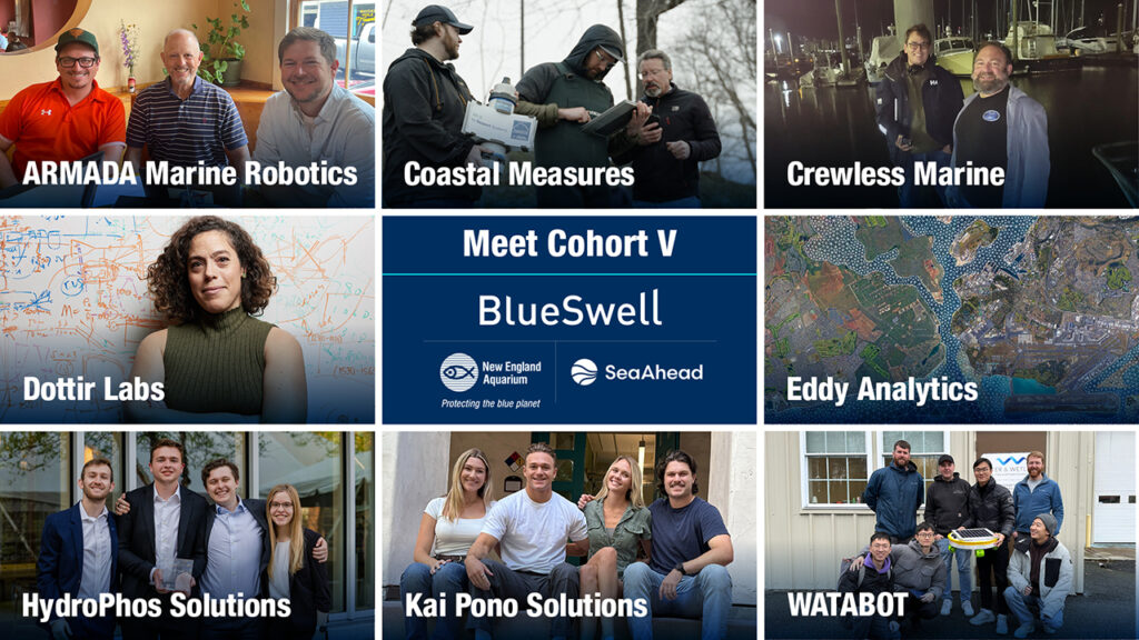 Meet BlueSwell Cohort V