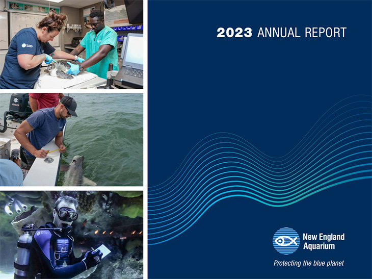 2023 annual report cover