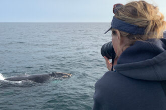 Photographing a North Atlantic right whale during the August cruise. Taken under DFO Canada SARA permit.