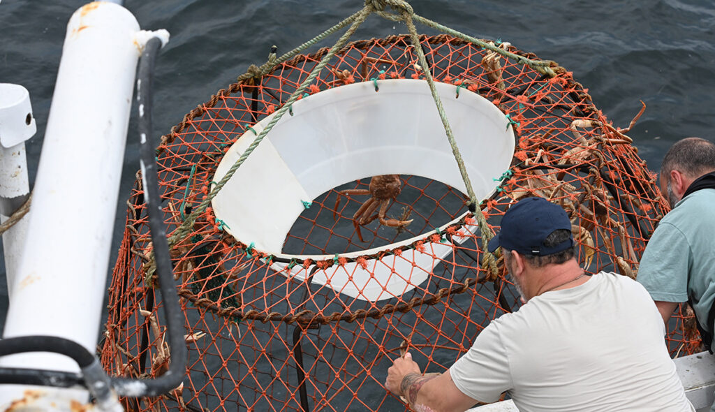 Special permits allowed the team to remove lost gear in July and August. Members of the crew, pictured here, are in the process of releasing the catch before bringing lost gear on board.