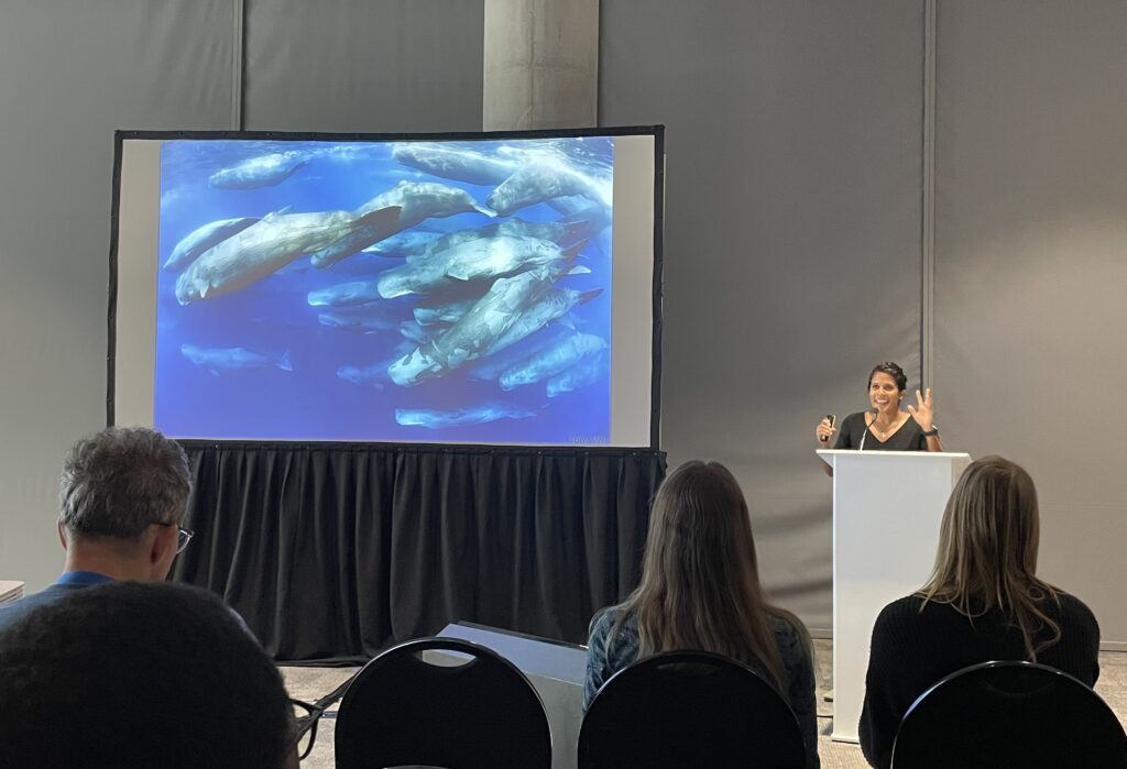 MCAF Fellow Dr. Asha de Vos presenting her talk, “First deep-sea exploration of Sri Lankan waters.”