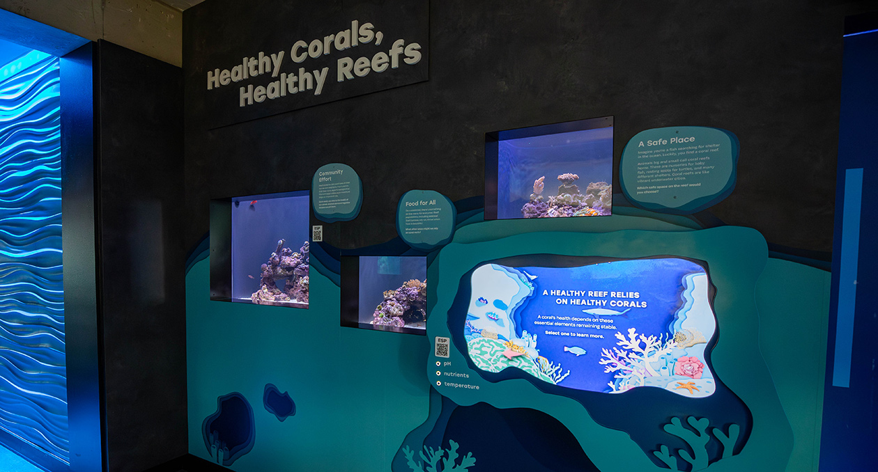 Healthy Corals, Healthy Reefs live coral exhibit