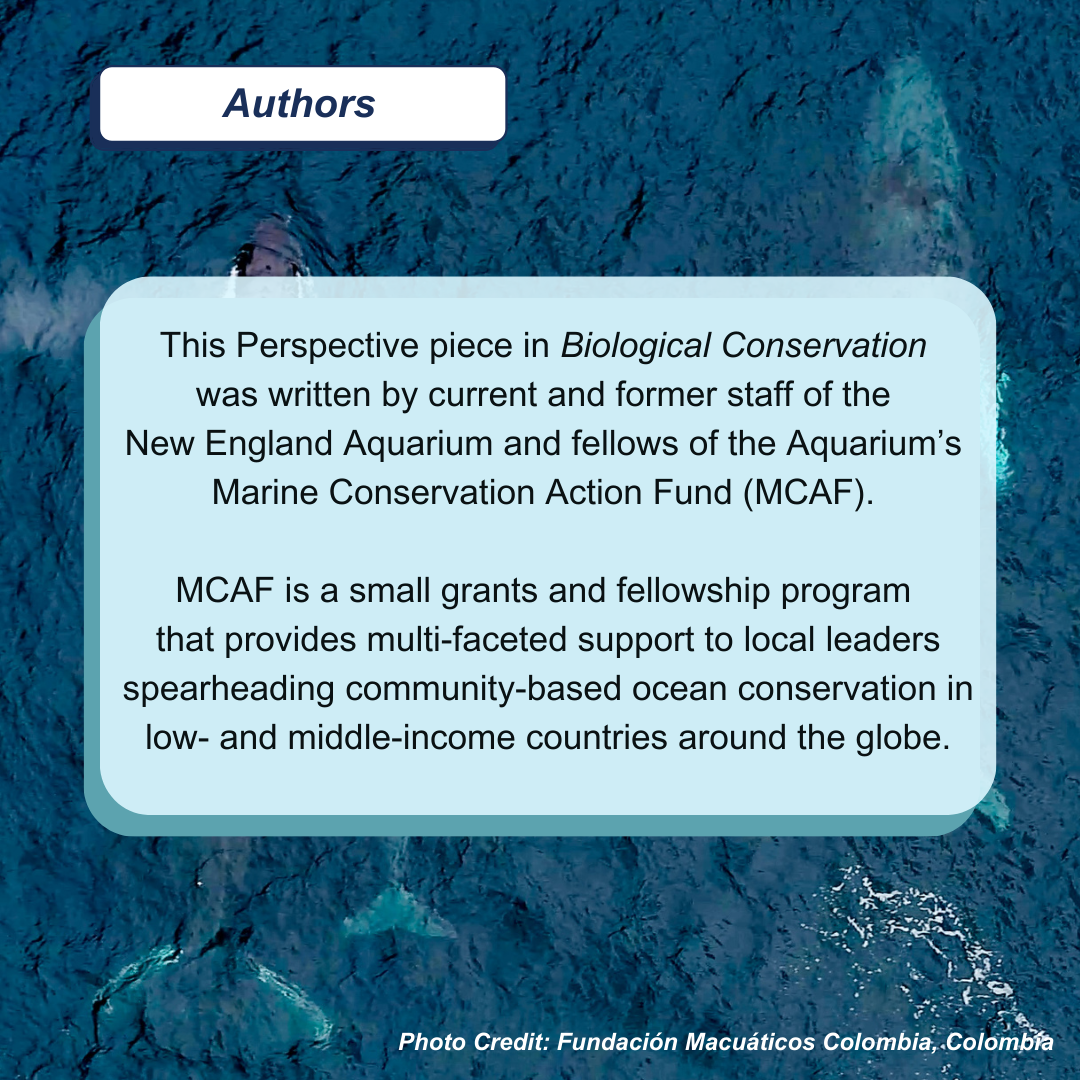 Text overlay on an ocean background. It describes a conservation fund supporting ocean conservation efforts in low- and middle-income countries. Credit: Fundación Macuáticos Colombia.