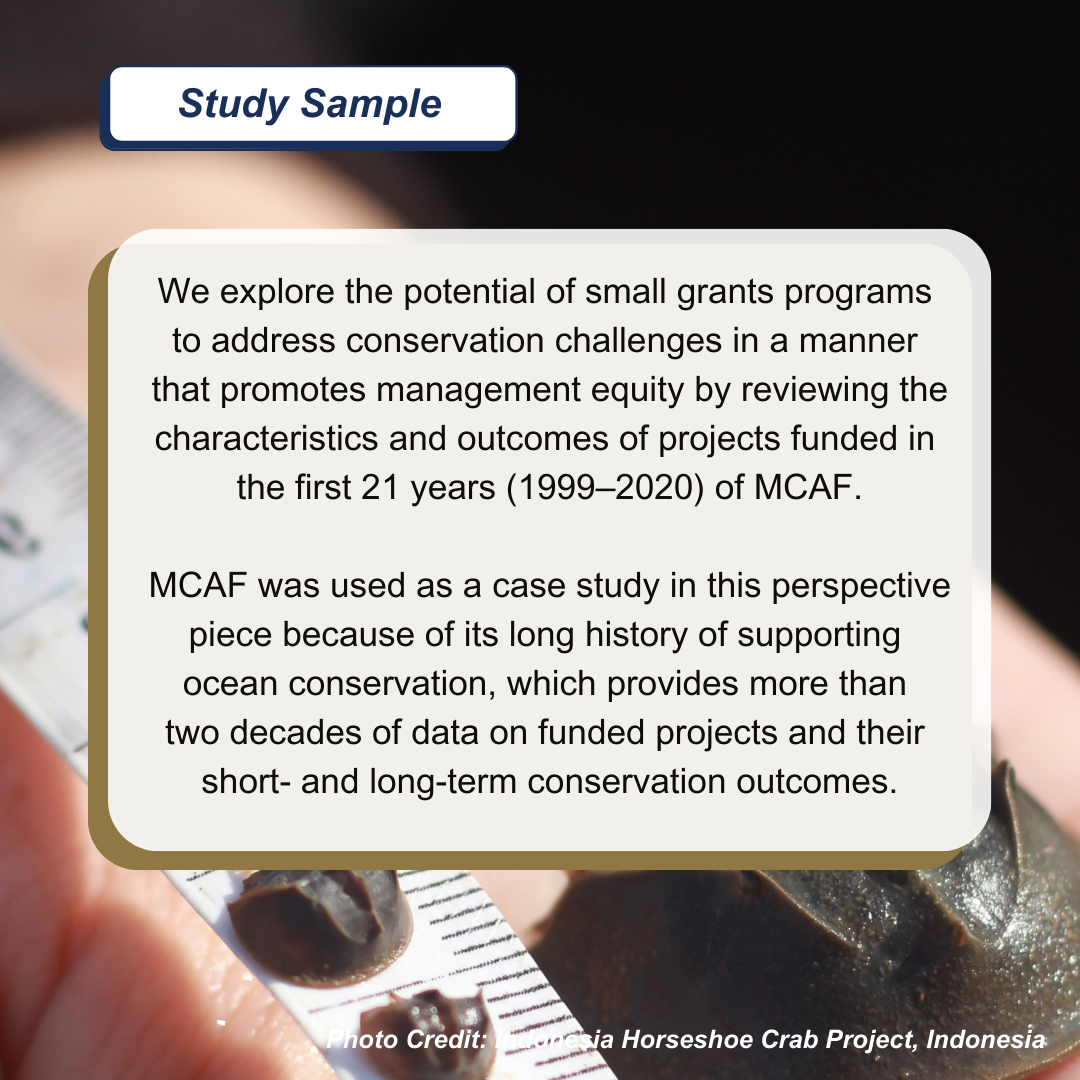 Close-up of a study sample text overlay on a hands-and-crab background. Transcribed Text: Study Sample We explore the potential of small grants programs to address conservation challenges in a manner that promotes management equity by reviewing the characteristics and outcomes of projects funded in the first 21 years (1999–2020) of MCAF. MCAF was used as a case study in this perspective piece because of its long history of supporting ocean conservation, which provides more than two decades of data on funded projects and their short- and long-term conservation outcomes. Photo Credit: Indonesia Horseshoe Crab Project, Indonesia