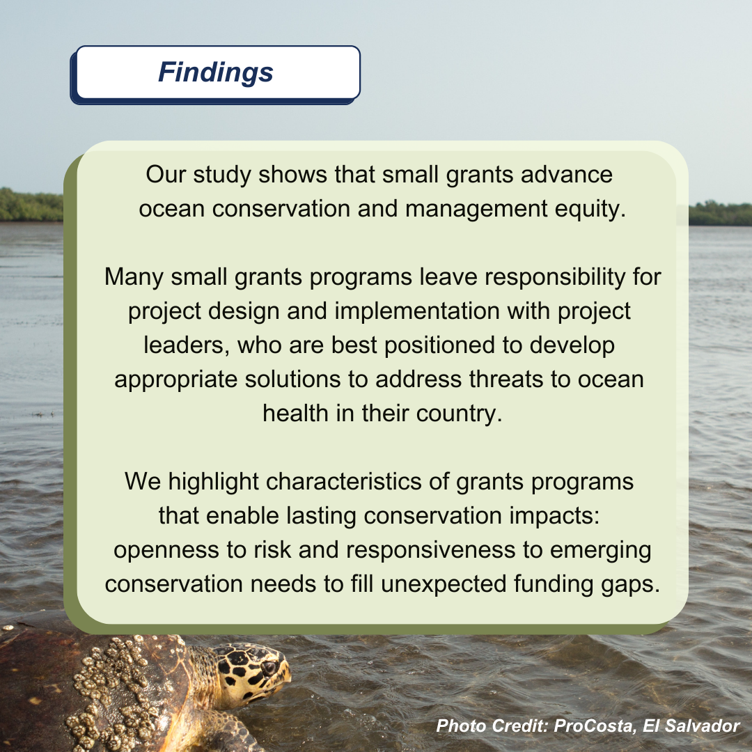 Text about small grants and ocean conservation over a water scene with a turtle. Transcribed Text: Findings Our study shows that small grants advance ocean conservation and management equity. Many small grants programs leave responsibility for project design and implementation with project leaders, who are best positioned to develop appropriate solutions to address threats to ocean health in their country. We highlight characteristics of grants programs that enable lasting conservation impacts: openness to risk and responsiveness to emerging conservation needs to fill unexpected funding gaps. Photo Credit: ProCosta, El Salvador