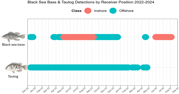 A summary of detections for black sea bass and tautog