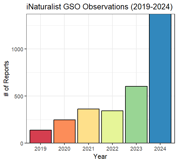 Bar chart showing iNaturalist GSO observations from 2019 to 2024, with reports increasing each year and peaking in 2024.