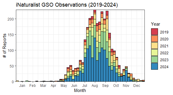 Stacked bar chart of iNaturalist GSO observations from 2019 to 2024, showing peak reports between June and September. Transcribed Text: iNaturalist GSO Observations (2019-2024)