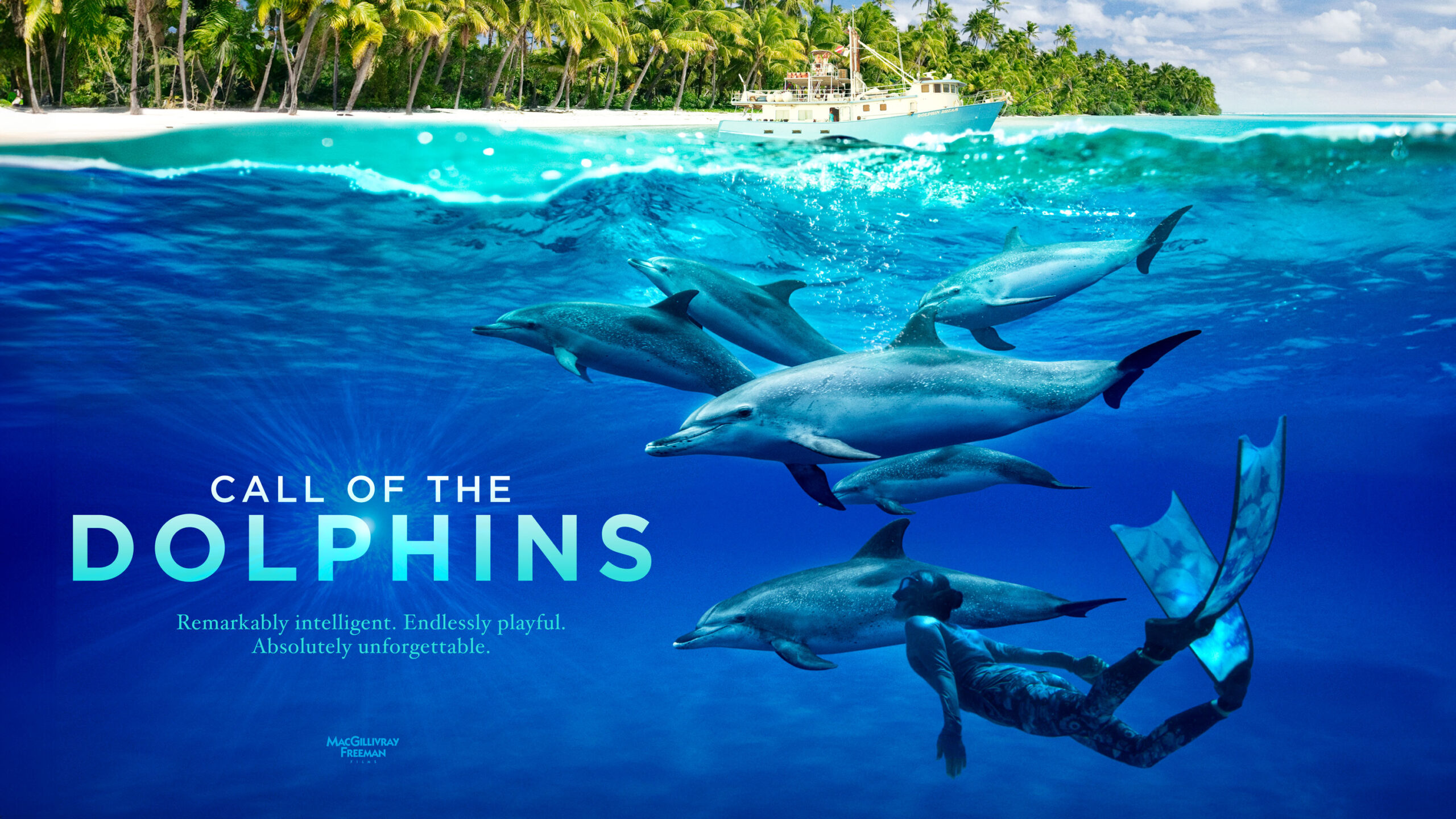 Call of the Dolphins movie artwork