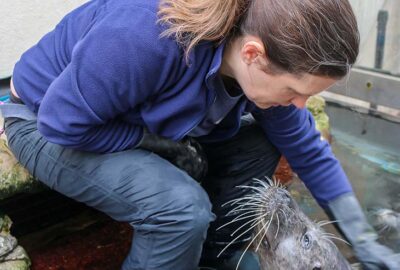 Career Spotlight: Patty Leonard’s 20 Years Training Marine Animals