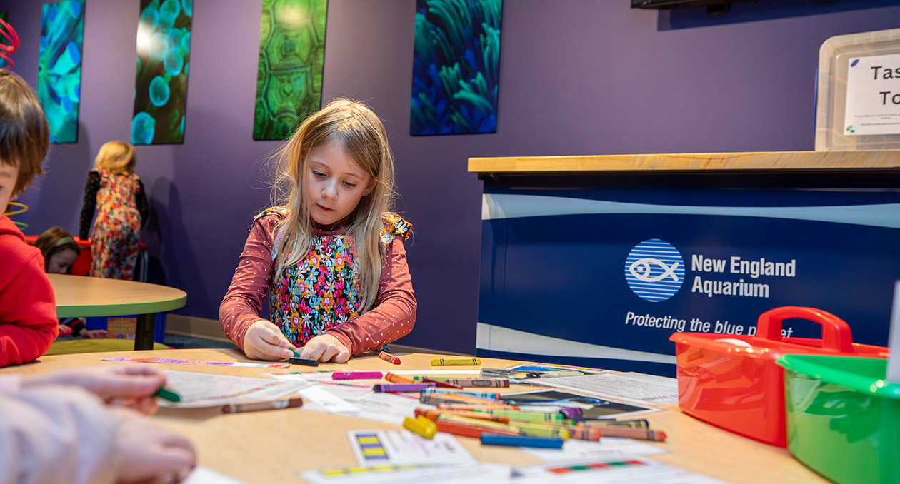 A visitor participates in an activity at Exploration Station