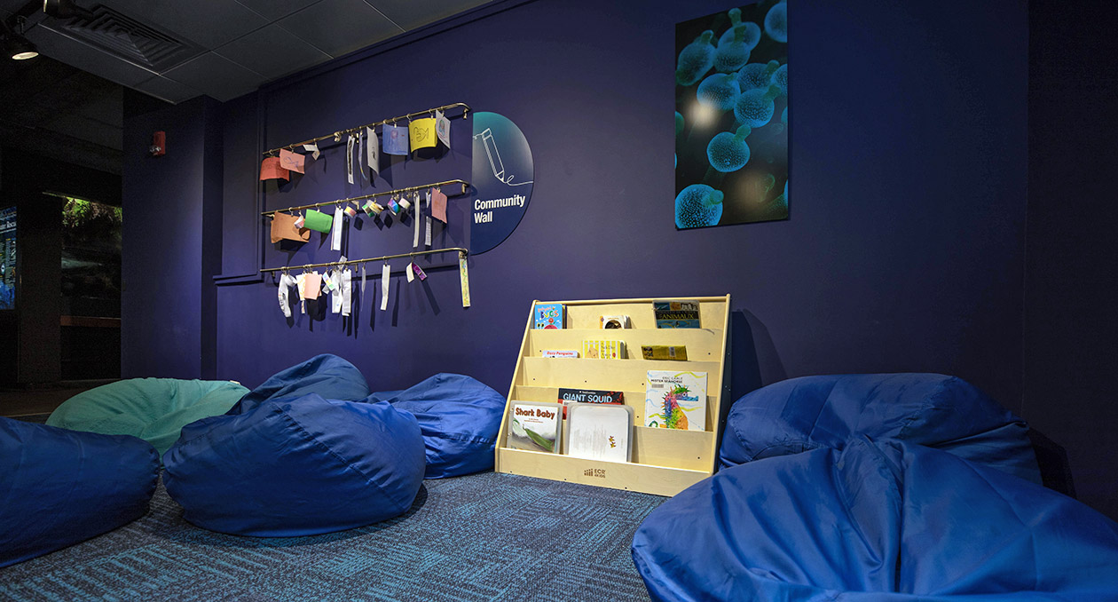 A reading nook allows visitors to learn more from ocean-themed books