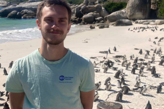 Collaborating to Protect Wild Penguins in South Africa