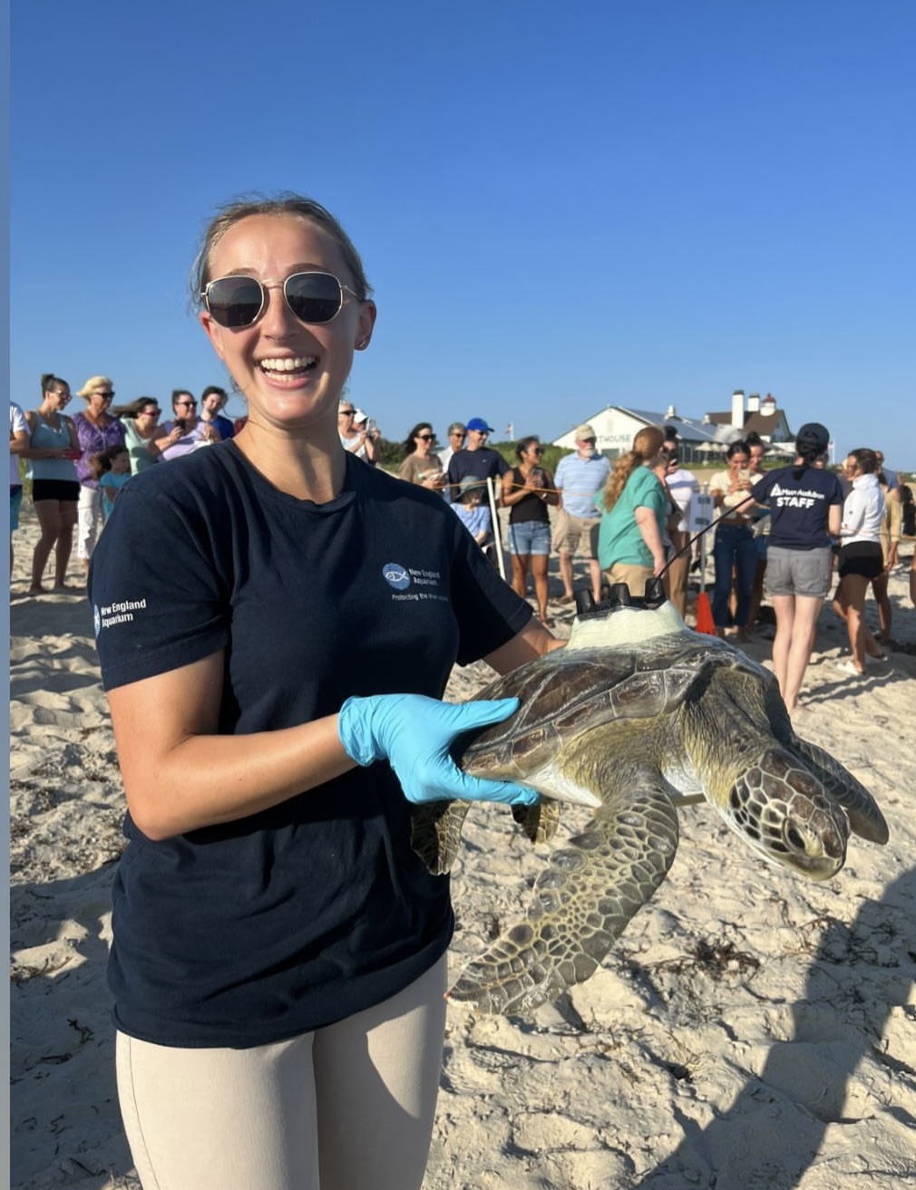 A person wearing sunglasses and smiling while holding a sea turtle on the beach